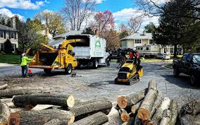 Best Lawn Renovation and Restoration  in Four Corners, TX